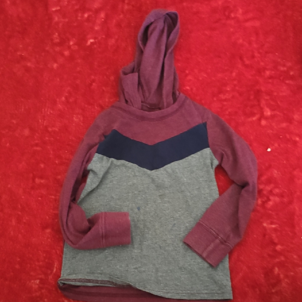 Place Burgundy and Gray Boys 4T' Hoodie Tee